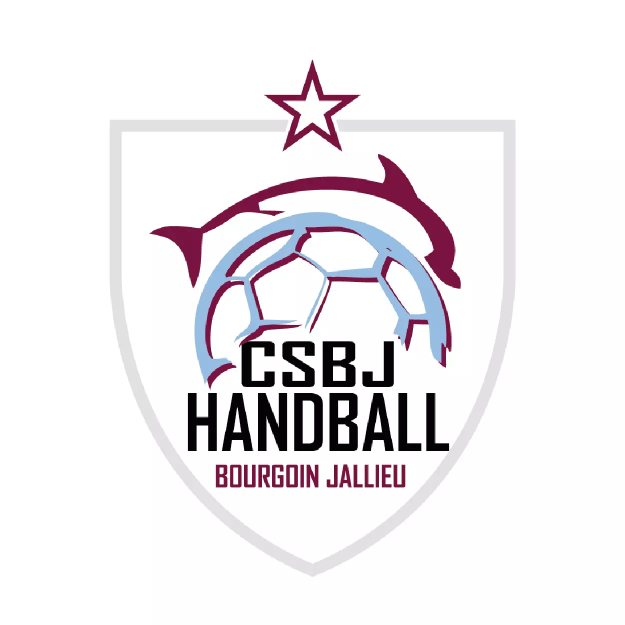 CSBJ Handball & PDI
